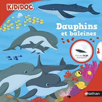 Dauphins et baleines (41)