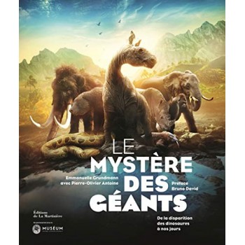 Le Mystère des géants: De...