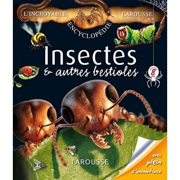 Insectes et autres...